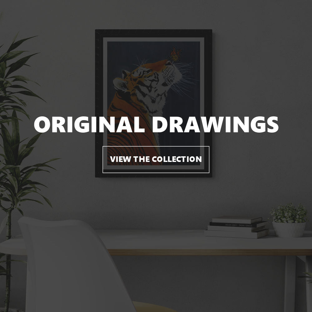 Original Drawings